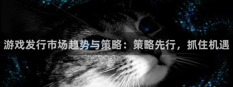 新宝GG香烟图片：游戏发行市场趋势与策略：策略先行，抓住机遇