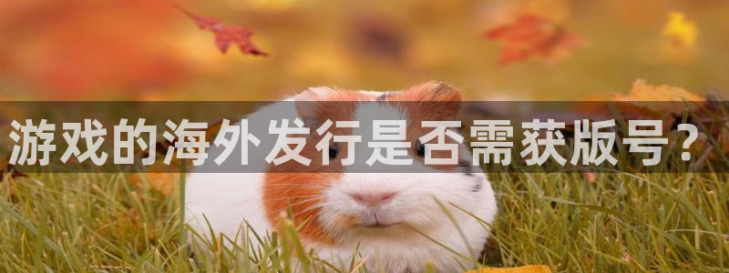 新宝GG品牌策划团队介绍：游戏的海外发行是否需获版号？