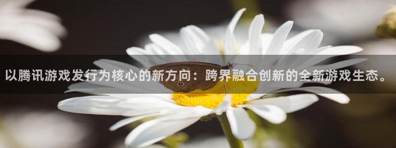 陕西新宝GG子文化创意有限公司是做什么的