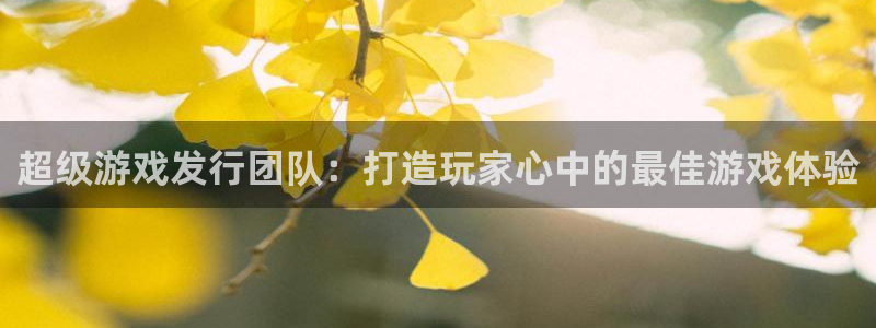 新宝GG子上市