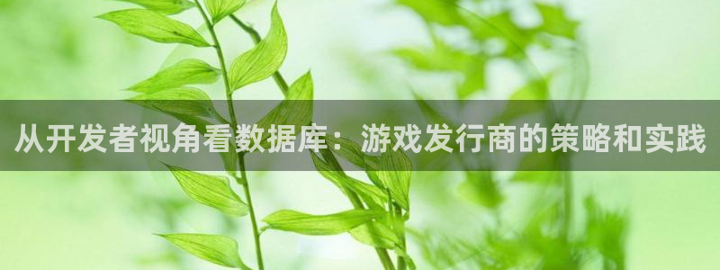 新宝GG科技股票