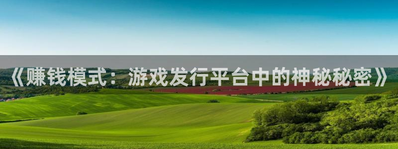 新宝GG官网怎么注册账号：《赚钱模式：游戏发行平台中的神秘秘密》