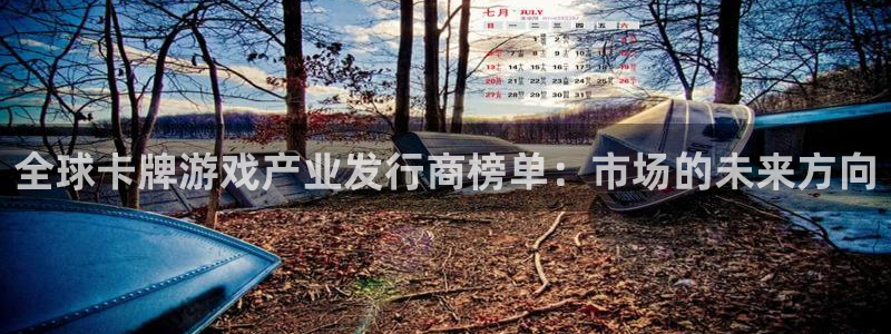 新宝GG官网平台代理条件：全球卡牌游戏产业发行商榜单：市场的未来方向